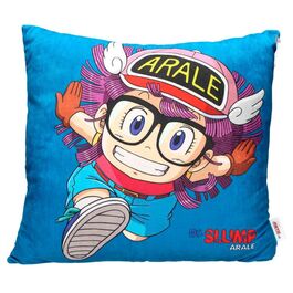 Cojin envasado al vacio Arale