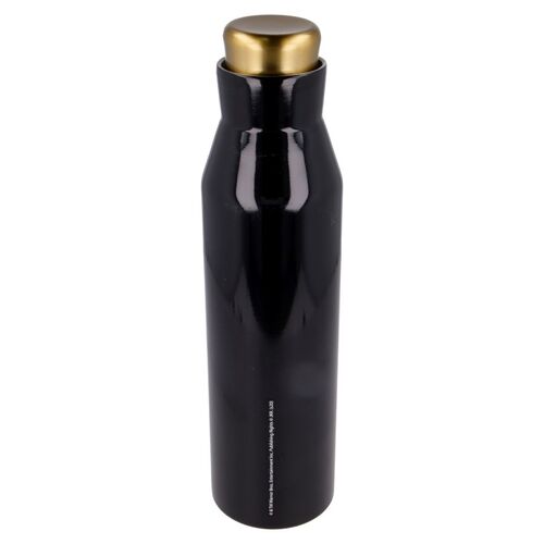 Botella Termo Diabolo Aceroinoxidable 580Ml Harry Potter