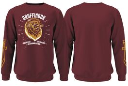 Harry Potter - Jersey Gryffindor Team