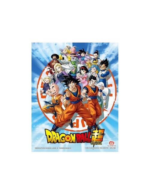 Póster 3D Dragon Ball Goku & Z Fighters