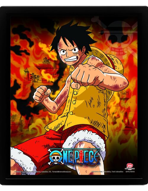 Póster 3D One Piece Brothers Burning Rage