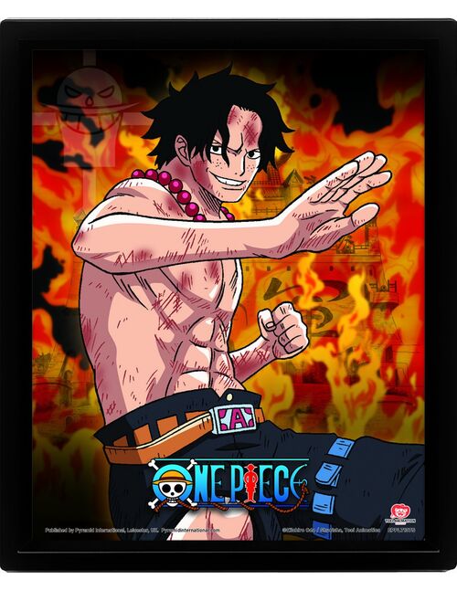 Póster 3D One Piece Brothers Burning Rage