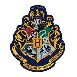 Cojin 35x35cm harry potter