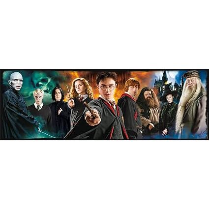 Puzzle 1000 PANORAMA HARRY POTTer