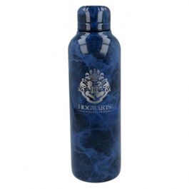 Botella Termo Acero Inoxidable Harry Potter Botella Termo Acero Inoxidable Harry Potter