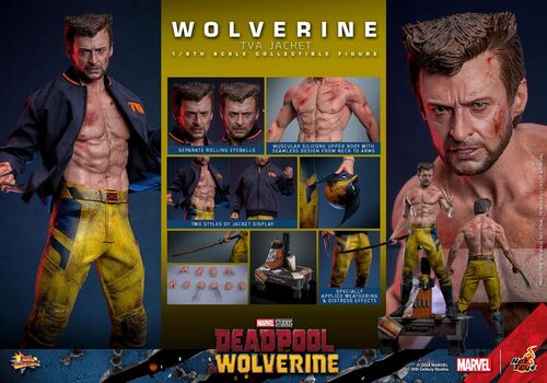 Figura Marvel Wolverine Masterpiece Hot Toys 31cm