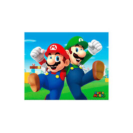 Póster 3D Mario and Luigi