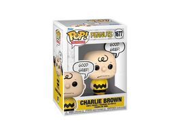 Funko Snoopy Pop Bubble Charlie Brown