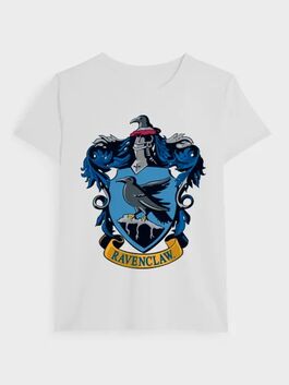 Camiseta Harry Potter RV