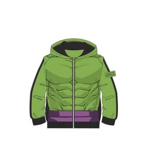 Sudadera Con Capucha Cotton Brushed Avengers Hulk