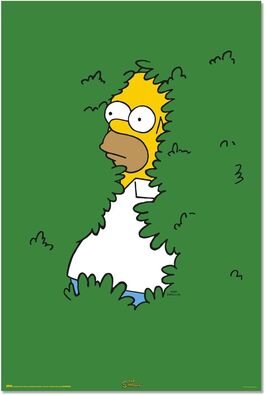 Póster The Simpsons homer Póster The Simpsons homer