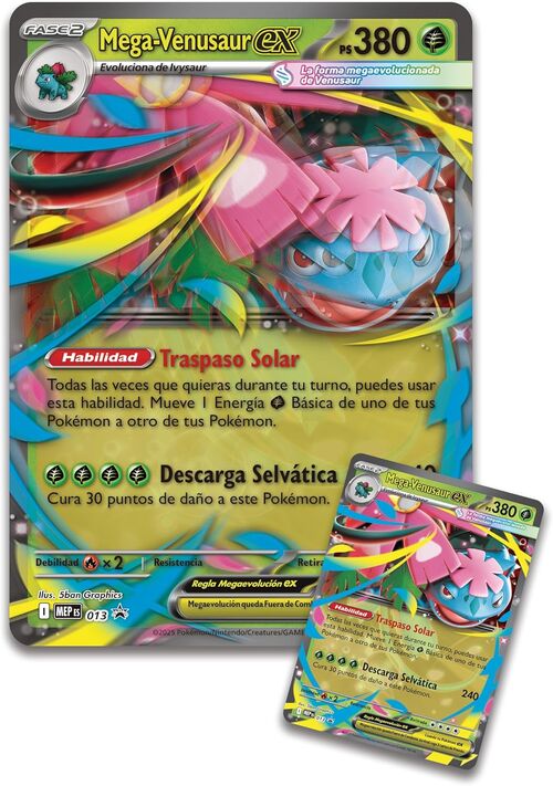 Cartas Pokémon TCG Premium Collection