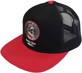 GORRA ATTACK ON TITAN TU