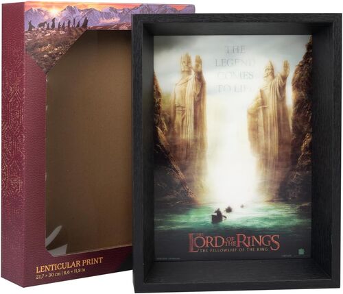 Póster 3D Enmarcado El Señor De Los Anillos